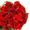 20 red Roses
